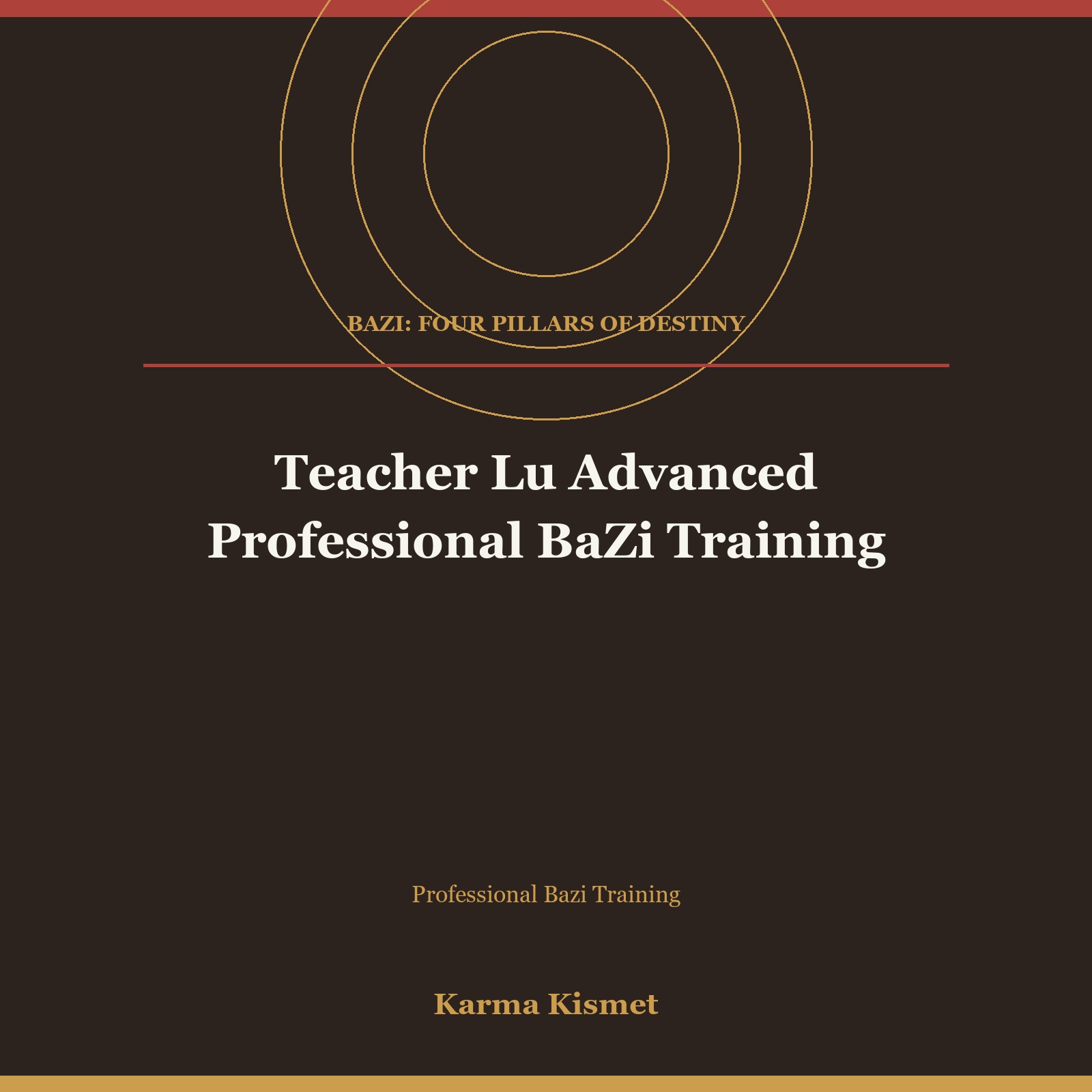 Teacher Lu Advanced Professional BaZi Training course cover