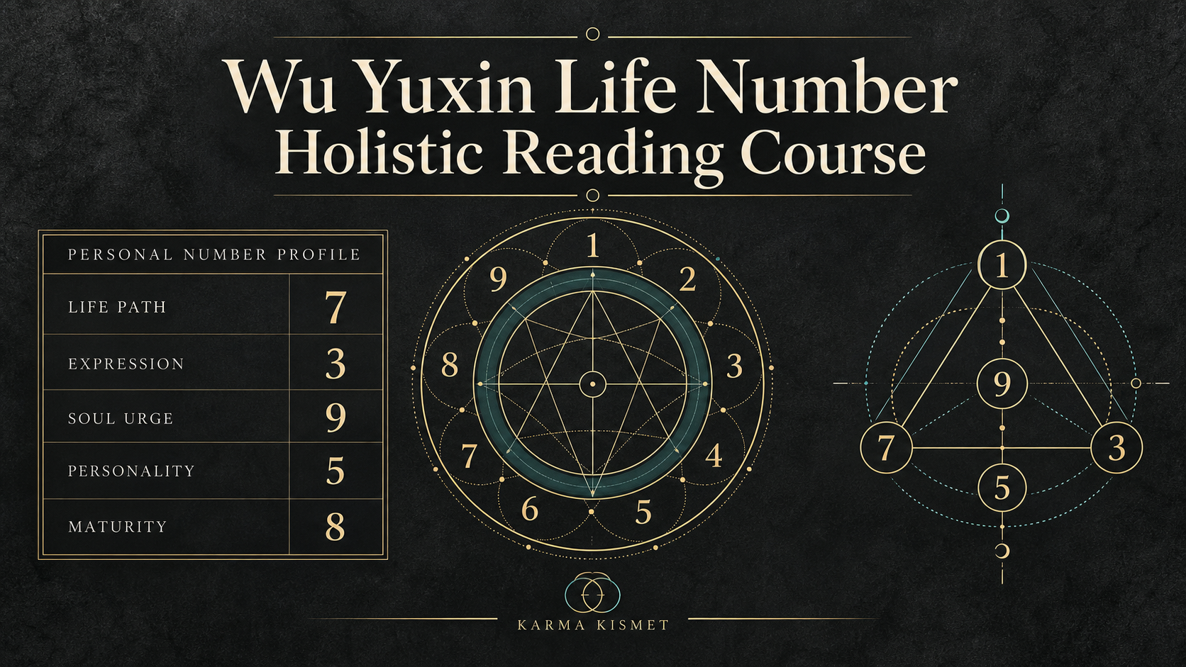 Wu Yuxin Life Number Holistic Reading Course course cover