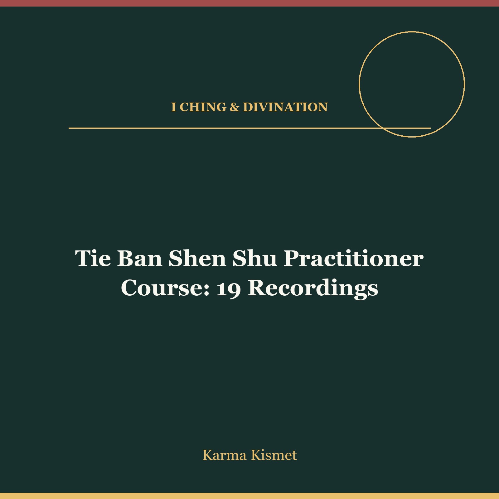 Tie Ban Shen Shu Practitioner Course: 19 Recordings course cover